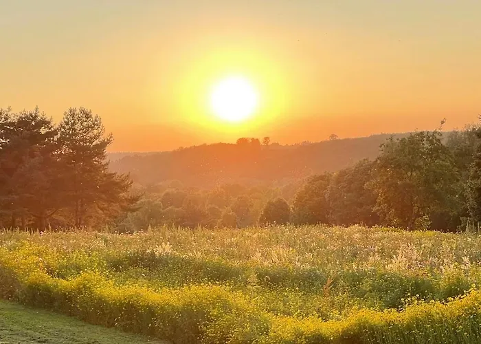 Lindner Hotel&sporting Club Wiesensee Hotel 4*