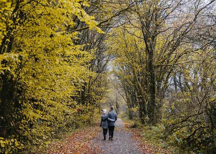 Hotel Golf- Und Wiesensee Westerburg (Rhineland-Palatinate)
